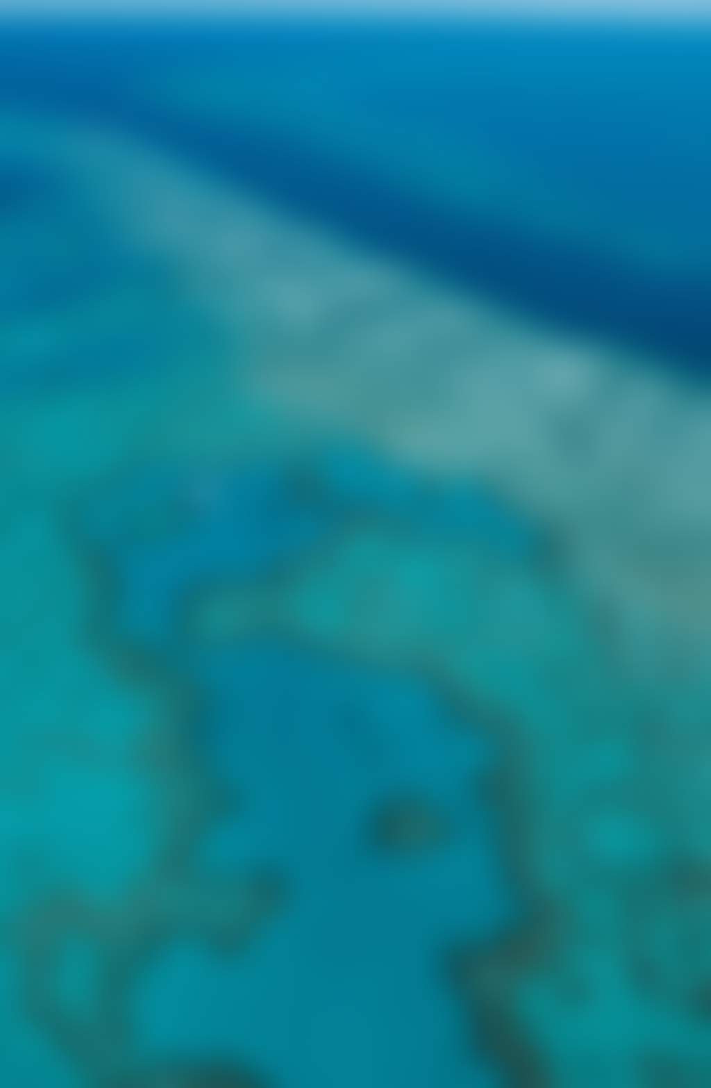 Heart Reef