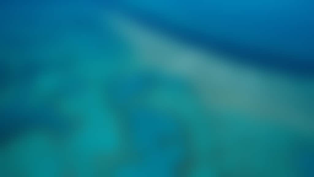 Heart Reef
