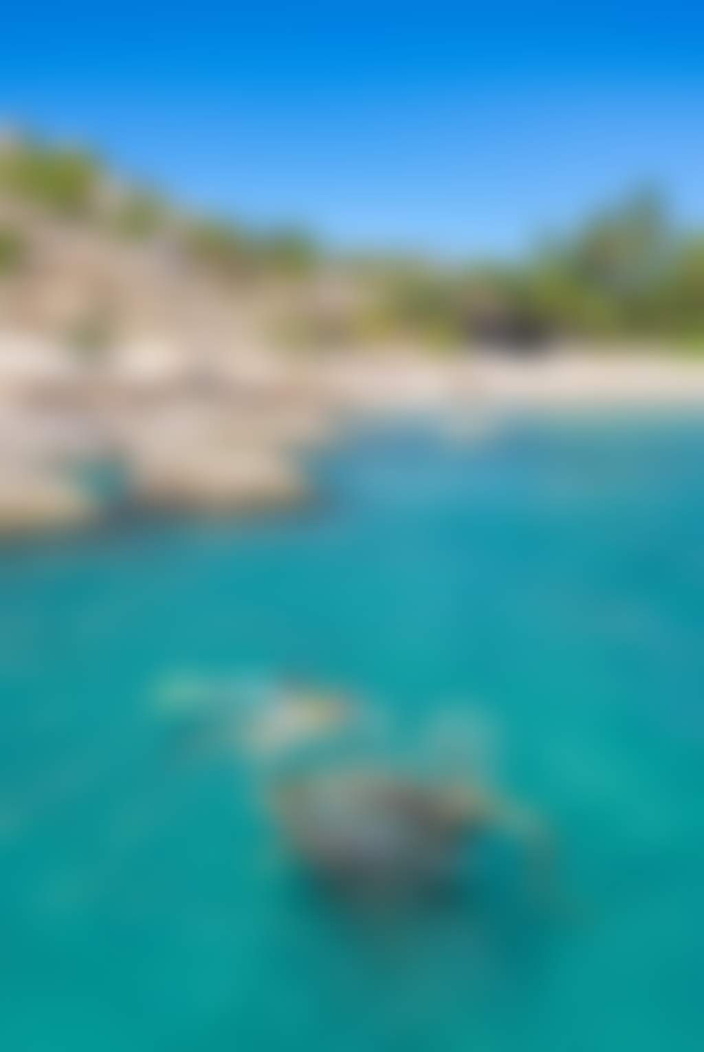 Snorkelling at Horseshoe Bay