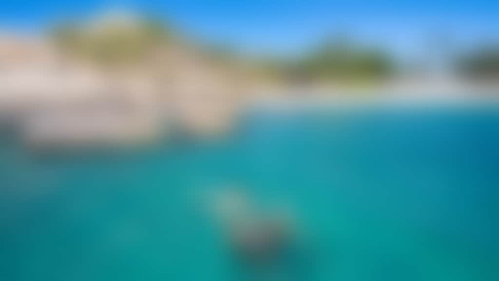 Snorkelling at Horseshoe Bay