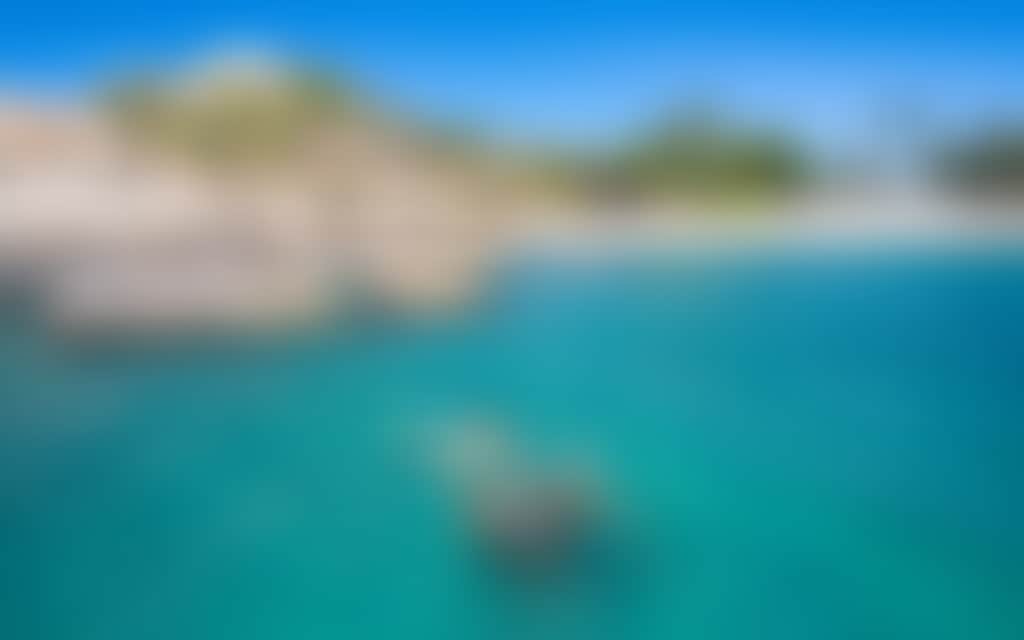 Snorkelling at Horseshoe Bay