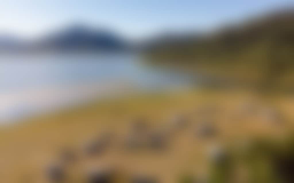 Dc8876Ce42C12E4F922678F01733F185