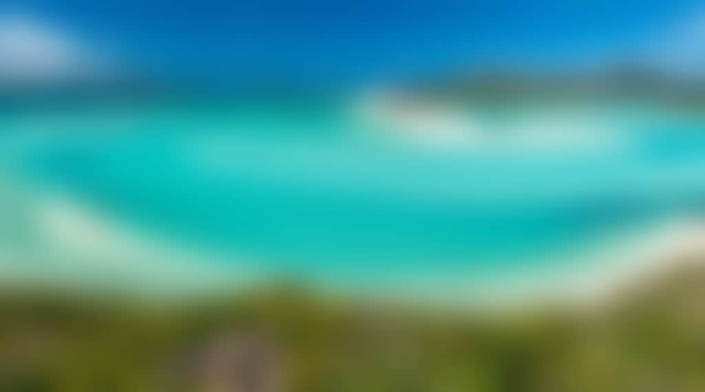 7Dd711Ef0Af0Ce70Ef4A81085Ee96613