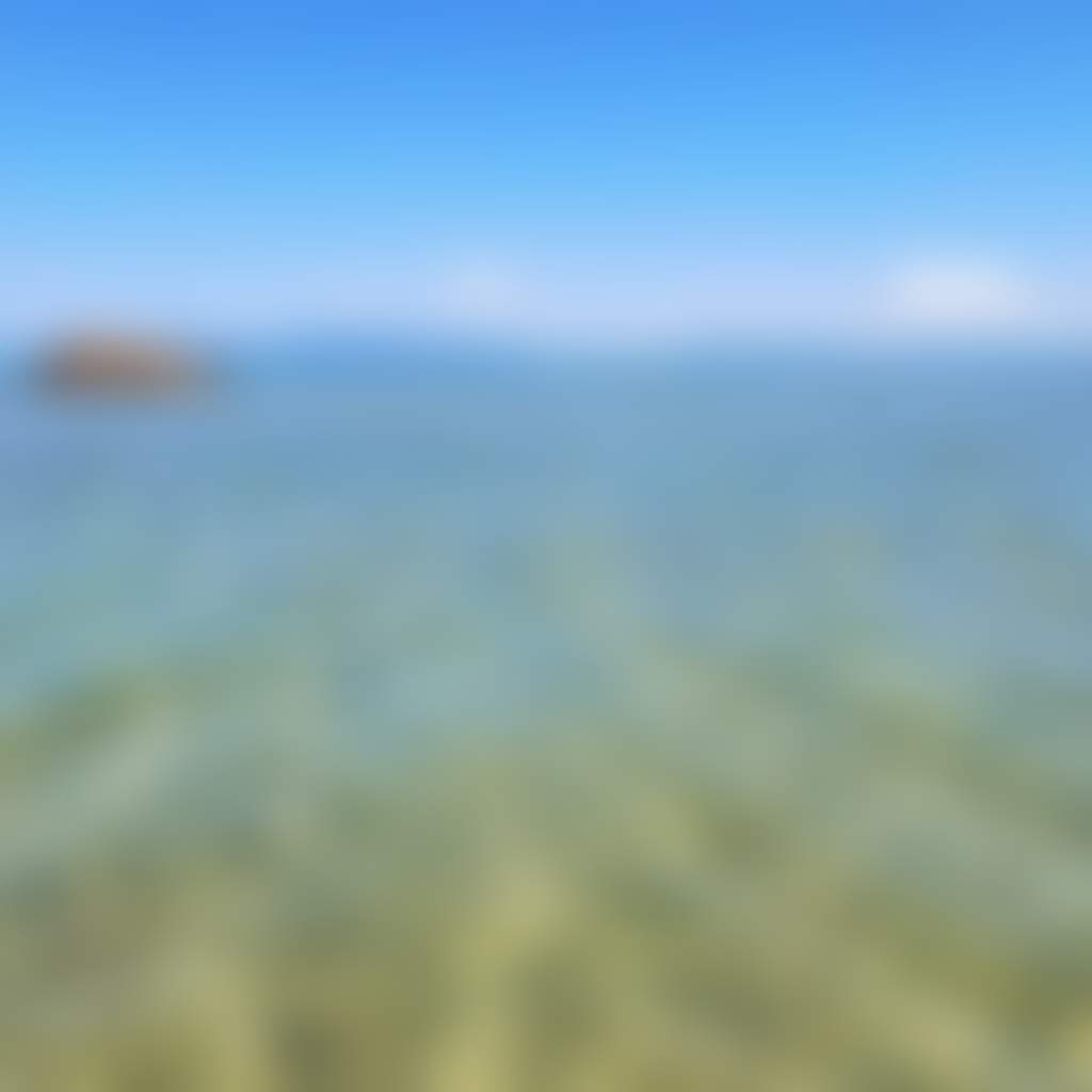 3019B4E1C6Bc113Ea3Ad8Ab0Aec2C716