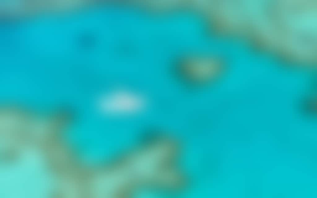 C1A9Ec8Ed89937087173Ca2C1Ef4A963