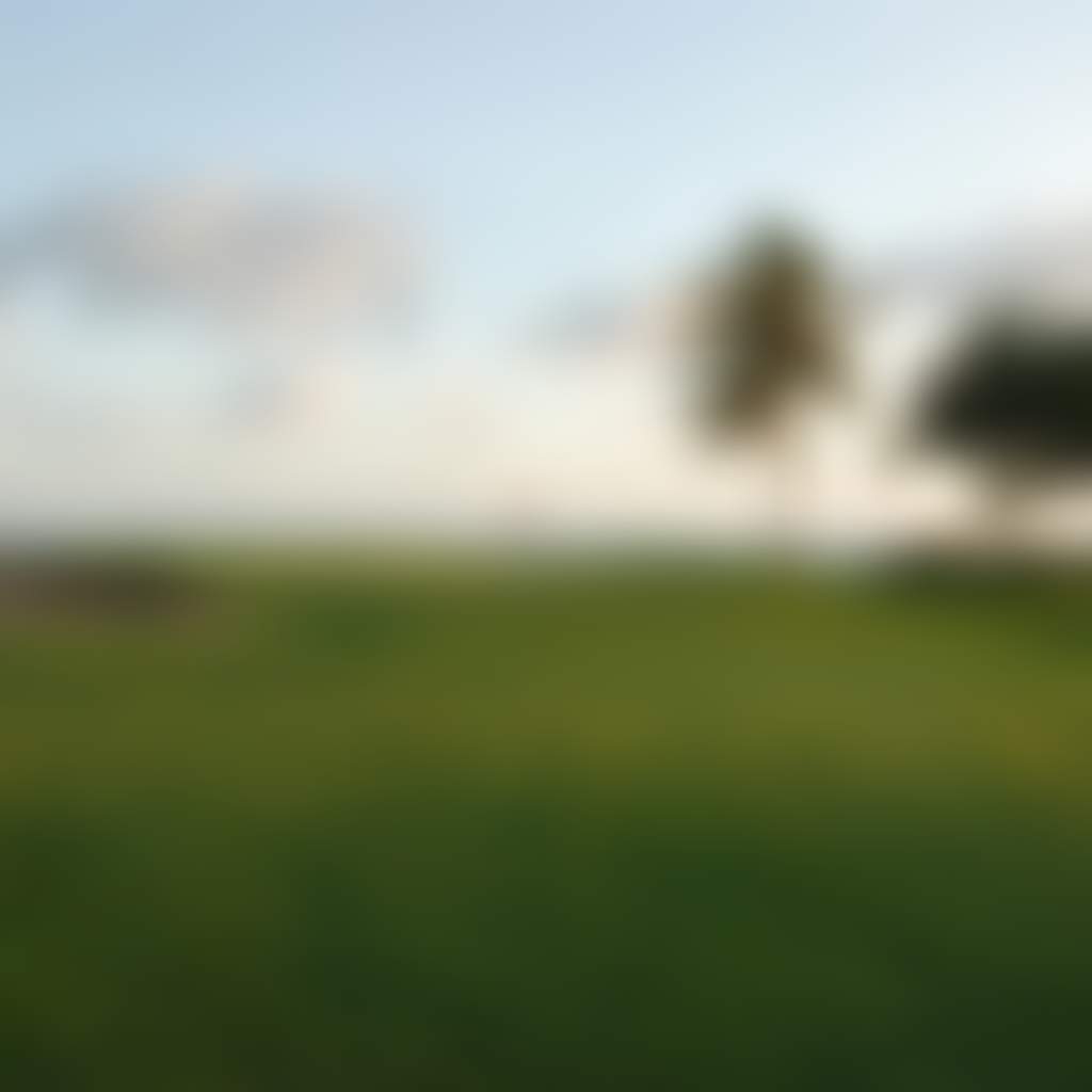 Ca8B81E2D5Ed529D8520D803Ce514570