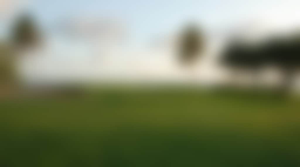 Ca8B81E2D5Ed529D8520D803Ce514570