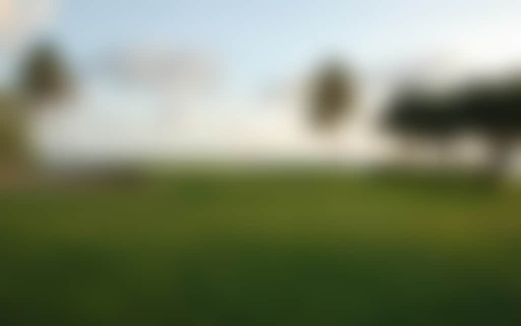Ca8B81E2D5Ed529D8520D803Ce514570