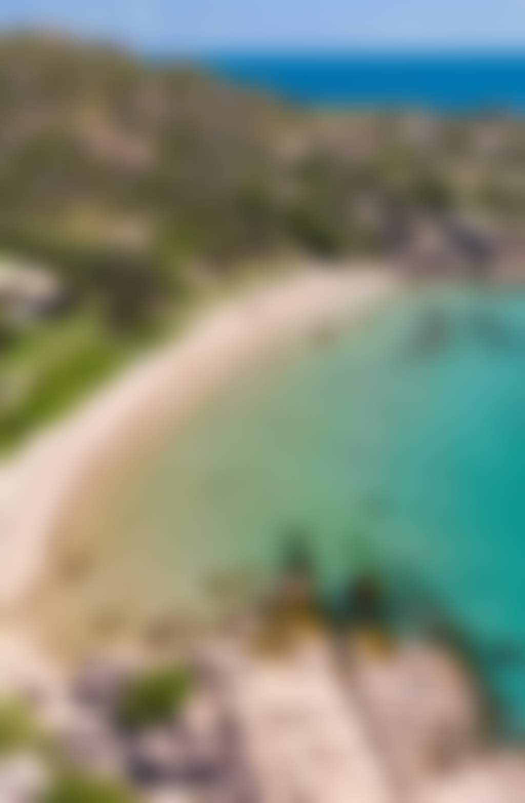 Rose Bay from the air