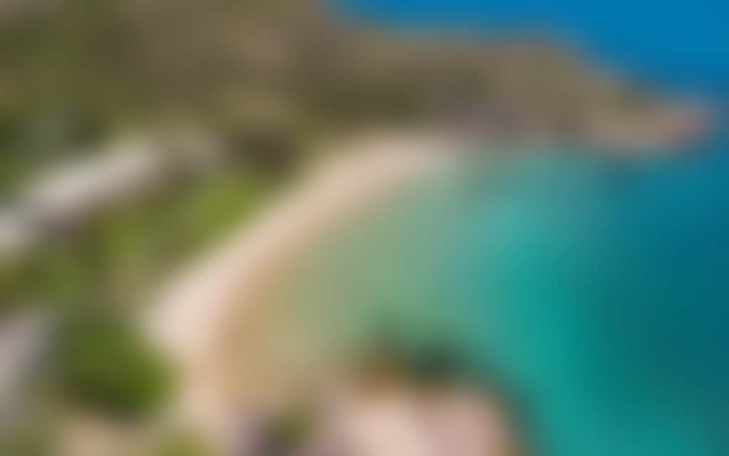 Rose Bay from the air