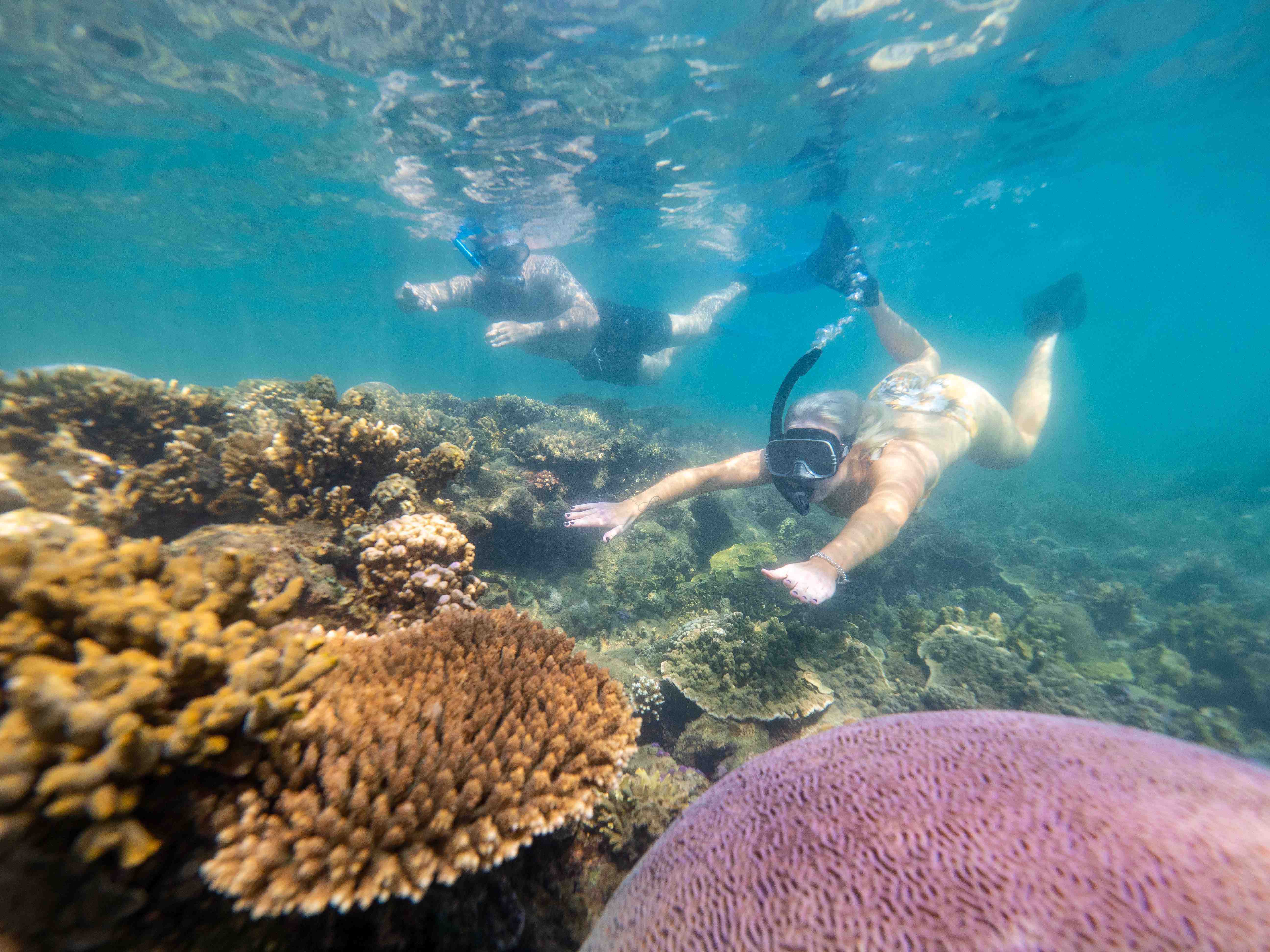 Bowen Snorkelling Guide | The Whitsundays | Tourism Bowen