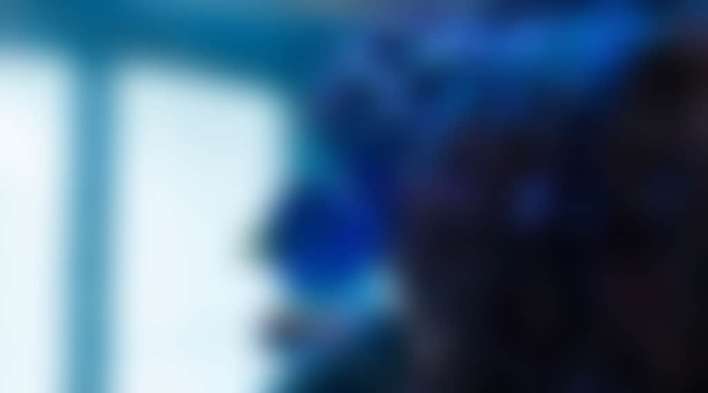 82D3D29B6F984Cd6Aa1Fb28995Eb9Be8