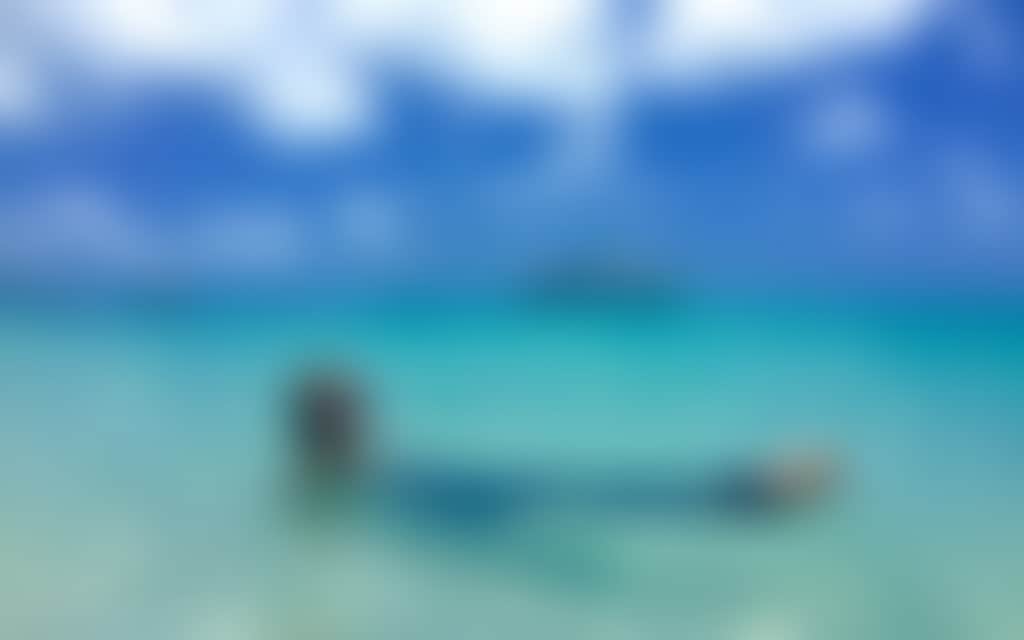 F9949288945F6A419216A868F567D569