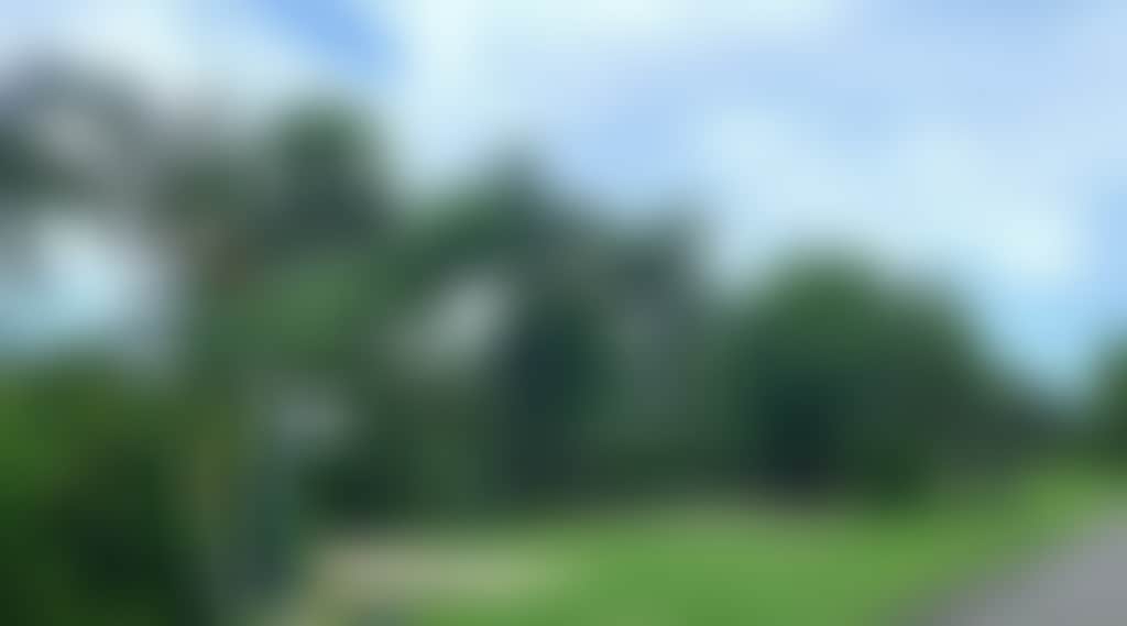 1117Cf2C0Feff8F03B22C9Ad5A891823