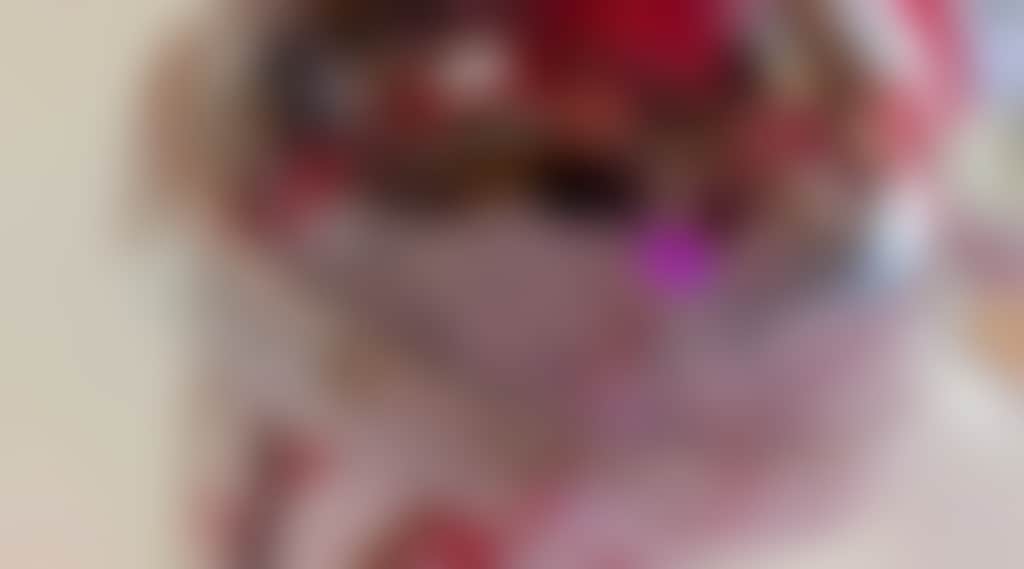 1F951B3E55Fd37B9C0A60C81Cf5D468B