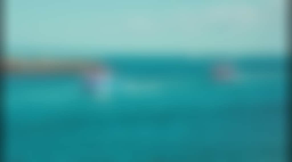 5A8A8E0122Ea6Ce6Ebdd796E1E4230C1